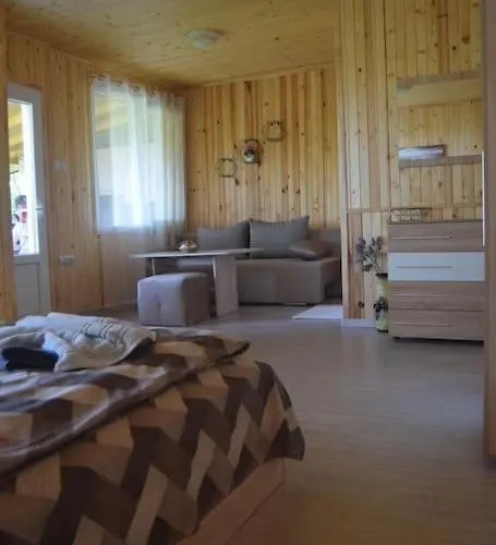 къща виктория 펜션 *